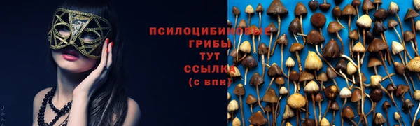 молекула духа Балабаново