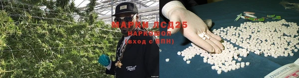 Альфа ПВП Аркадак