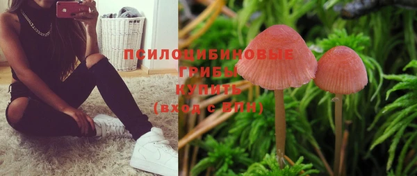 ГАЛЛЮЦИНОГЕННЫЕ ГРИБЫ Балахна