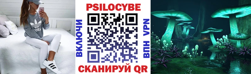 Купить  Жиздра  Псилоцибиновые грибы GOLDEN TEACHER 